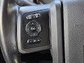 2013 Ford F-250SD Platinum