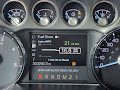 2013 Ford F-250SD Platinum