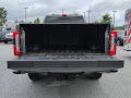 2025 Ford F-350SD Platinum